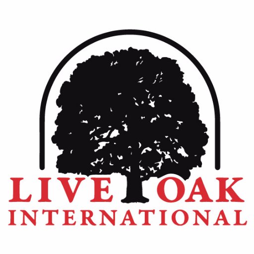 Located at Live Oak Plantation, Live Oak International brings you the most prestigious Combined Driving and Show Jumping event in the United States. #LiveOakInt