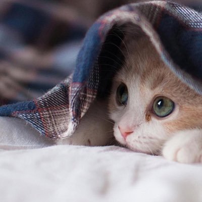 yousuck0524's profile picture. 京都大学/金融