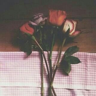 frjalmaljya's profile picture. 