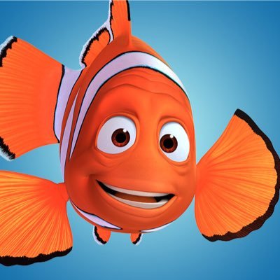 Nemos_Father's profile picture. Dont touch the boat, @Nemo_LuckyFin_ !!! Official marlin account! Dating @ShortTermTang