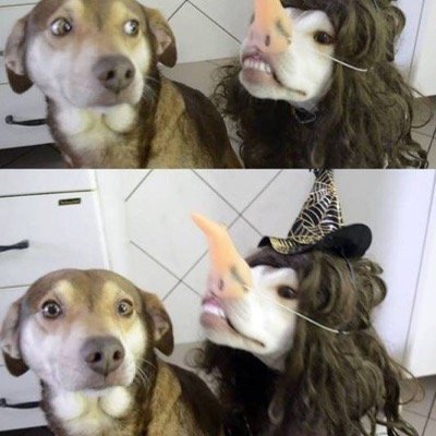 iReliiant's profile picture. Hey.. soy mel..
reciente streamer de algunos juegos
principalmente minecraft B) 
me quieres conocer? visita mi canal 7u7