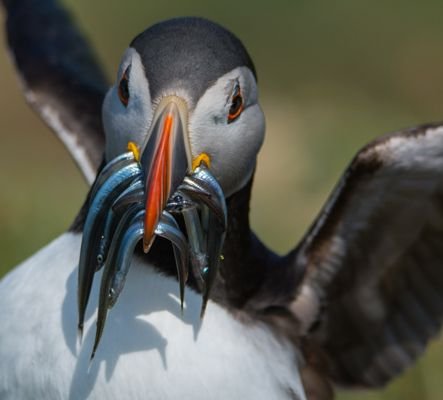 Wildlife, photography and exploring the outdoors with my daughter.