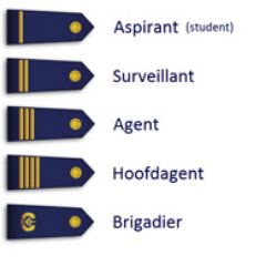 over aangifte van mishandeling door Pim Lammerinks , geen bewijs voor artikel 300 lid 1 van strafrecht van agent Pim Lammerinks (GLZ01435)