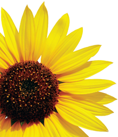 VIBRANTSURREY's profile picture. A community- based, multi-sectoral collaborative working to reduce poverty in Surrey BC.  Part of the national Vibrant Communities movement in Canada.