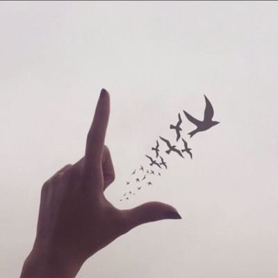 ajayeb88's profile picture. ‏الاحترامَ يغلبَ قلة التهذيَب .