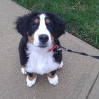 Chris Lenahan (@chlenahan3) 's Twitter Profile Photo