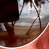 Tere Diaz (@terediaz) 's Twitter Profile