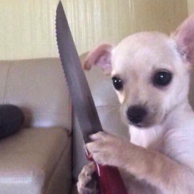 guafmx's profile picture. guaf guaf guaf, guaf guaf GUAF