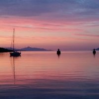 Joseph Englander (@joseph_engl) 's Twitter Profile