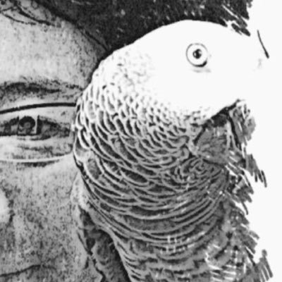 オウムやヨウムの日本国内繁殖を行っています。 DTM 作曲 ブラック 我流声楽 I perform the parrot and African gray parrot reproduction in Japan. YouTube https://t.co/TacnOIsdlq