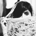 ูุงุฌุฑ (@70hajer_) Twitter profile photo ูุงุฌุฑ (@70hajer_) Twitter profile photo