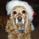 Bill Pennington - @mrblp - Twitter