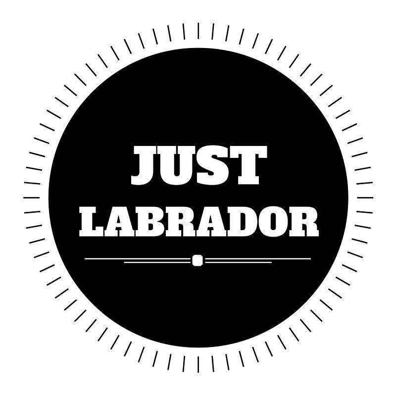 This account is https://t.co/bouGP4KKy3 's website twitter account. Enjoy :)