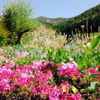 hihumikoubou (@hihumikoubou) Twitter profile photo