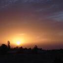 Elaine Yang - @elyang336 - Twitter