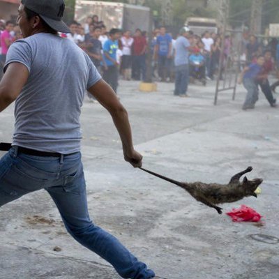 Suelo servir como arma letal, en México.
