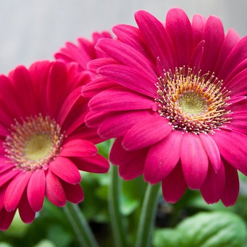 bethanmorris90's profile picture. 26, Project Manager, Caerphilly