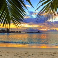 Shannon Long (@perocksatbrms) 's Twitter Profile