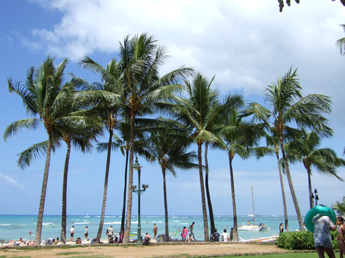 Hawaii、大好き！