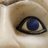 HELOU Tammouz Eñaut's Twitter avatar