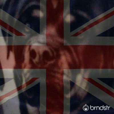 IamCrixus's profile picture. 