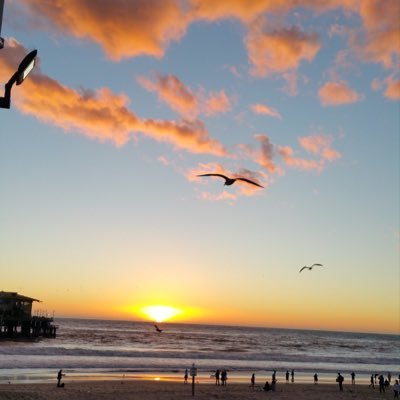 BingLu2's profile picture. 新聞 文學 政治 評論 藝術與文化 历史 文革 军史 党史 量子力学 加州生活 洛杉矶 特朗普