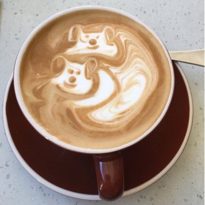 he_knows_coffee's profile picture. Coffee fiend Down Under