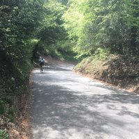 Surrey Cyclists (@surreycyclists) 's Twitter Profile