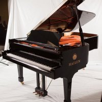 Hailun Pianos (@hailunpianos) 's Twitter Profile