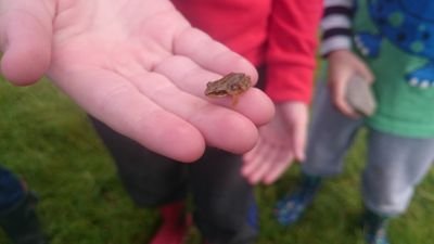 A Church of England Primary School
in North Shropshire committed to building community and making a difference. Together we achieve believe and celebrate.
