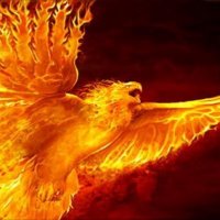 House Phoenix(@DearnePhoenix) 's Twitter Profile Photo