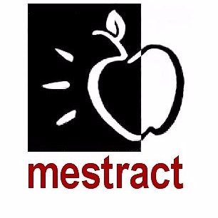 Image result for mestract image
