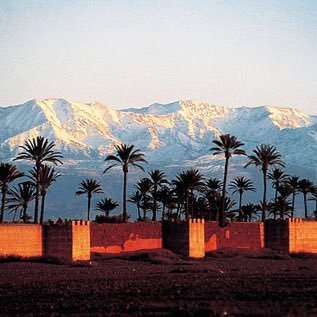 bodo_muller's profile picture. 