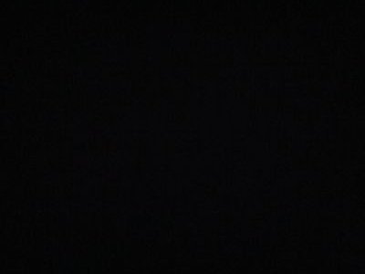 shyleemorgan's profile picture. 