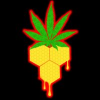 GnarJars Dual Stash Jars (@gnarjars) 's Twitter Profile