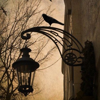 Arab-American writer of Gothic and supernatural fiction, dark themed stories, and travel off the beaten path.
@MESolomonHorror
https://t.co/mozjfzaE9D