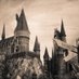 Hogwarts Türkleri (@HogwartsTurk) Twitter profile photo