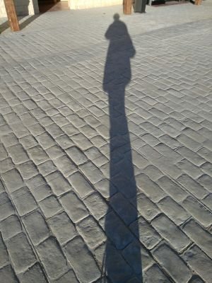 ehbio's profile picture. 'curioseando'aprendiendo'comentando'