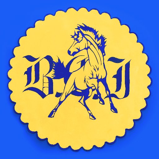 BCI Students Council Profile