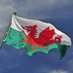 Welsh Property (@frccardiff) Twitter profile photo Welsh Property (@frccardiff) Twitter profile photo