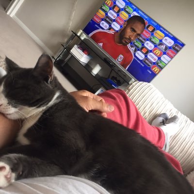 tom_hide's profile picture. 