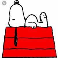 Peter Lucas (@peterlucasherts) 's Twitter Profile