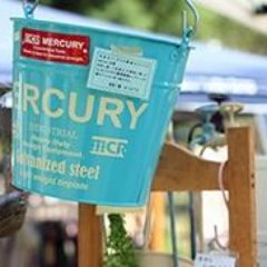 miraikanai39's profile picture. メルカリ内の「これはお買い得だなー」と思う激安商品の紹介