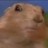drloser_nofrag's profile image