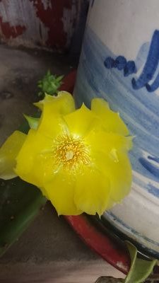 dGewP51yiBGiUf6's profile picture. 책읽기, 생각하기. 영화보기를 즐김.