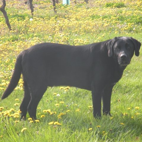 firsttest101's profile picture. Nothing to see here. I am Twitter's version of a crash-test dummy.