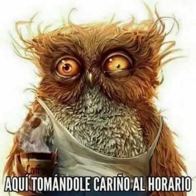 @feliceron