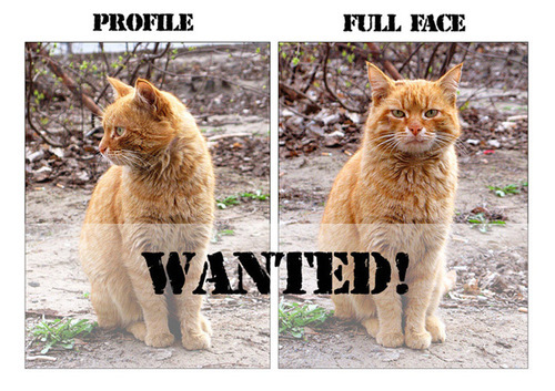 helga_mur's profile picture. Диагноз знаю, лечиться не буду