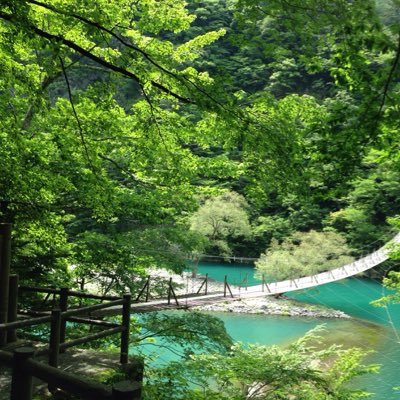 makkororon's profile picture. 