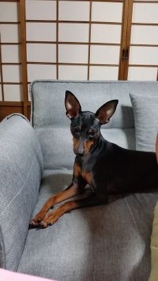 hk13961122's profile picture. 